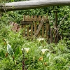 Plants: image 60 Of 208 Thumb